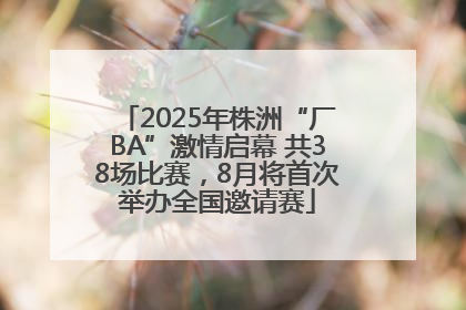2025年株洲“厂BA”激情启幕 共38场比赛，8月将首次举办全国邀请赛