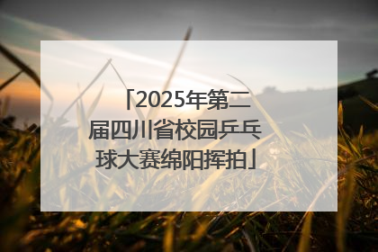 2025年第二届四川省校园乒乓球大赛绵阳挥拍
