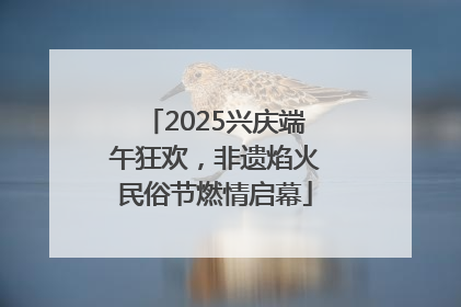 2025兴庆端午狂欢，非遗焰火民俗节燃情启幕