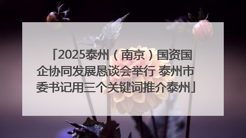 2025泰州（南京）国资国企协同发展恳谈会举行 泰州市委书记用三个关键词推介泰州