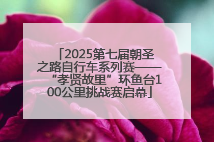 2025第七届朝圣之路自行车系列赛——“孝贤故里”环鱼台100公里挑战赛启幕