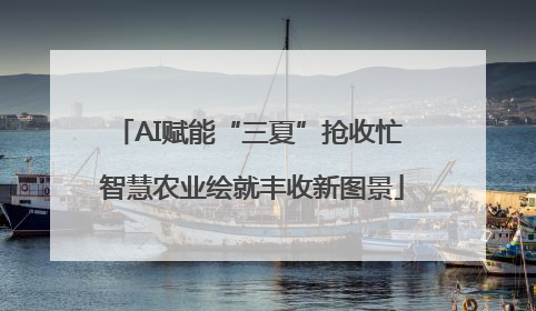 AI赋能“三夏”抢收忙 智慧农业绘就丰收新图景