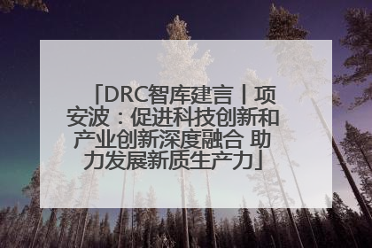 DRC智库建言丨项安波：促进科技创新和产业创新深度融合 助力发展新质生产力